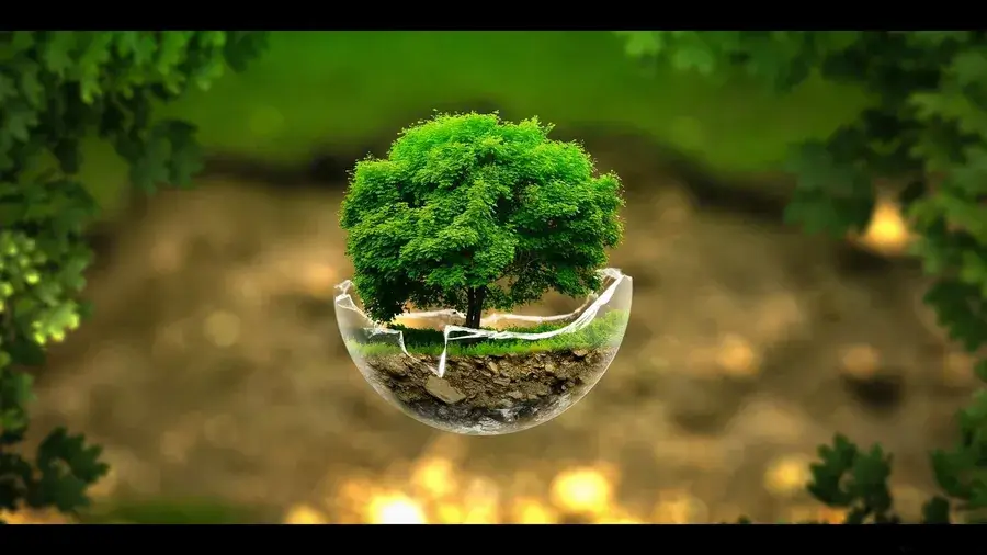 Sustainable development practices