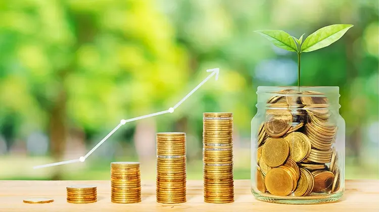 Long-term investment value